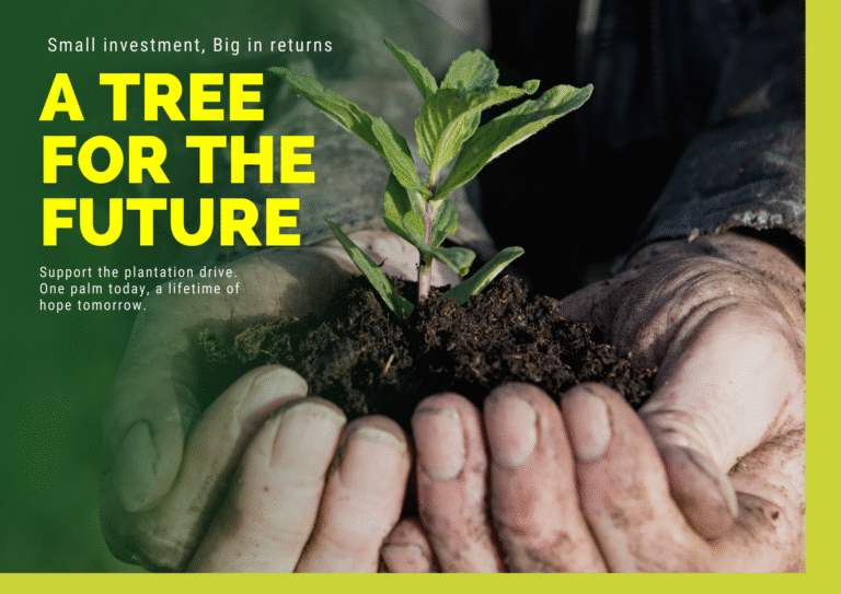 Roots for Tomorrow